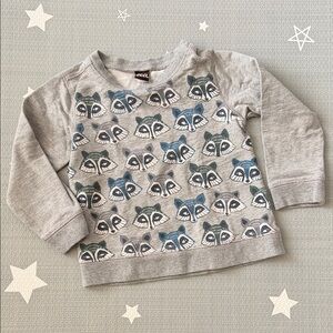 BOGO Tea Collection- Raccoon Sweatshirt, 12-18 months, 100% Cotton